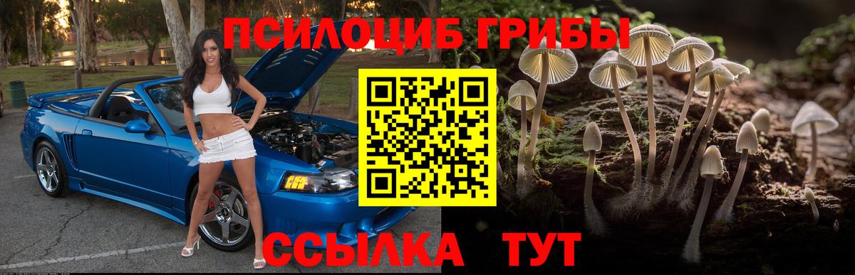 Псилоцибиновые грибы прущие грибы Прохладный