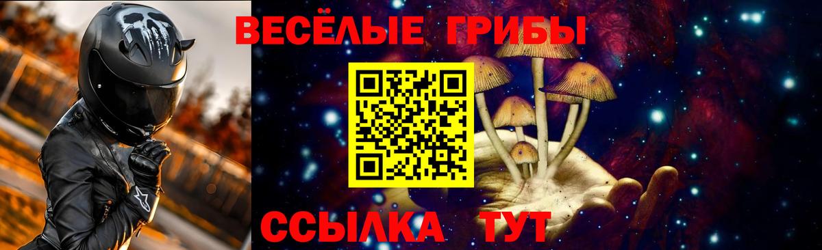 Галлюциногенные грибы мухоморы  Вход с VPN  Прохладный 