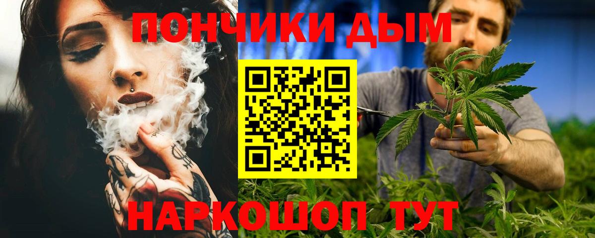 Бошки Шишки тримм  Вход с VPN  Каннабис планчик  Прохладный  Канабис планчик 